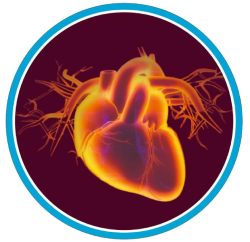 karunyaheartclinic